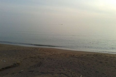 Land in Elis, Greece No. 28143 13