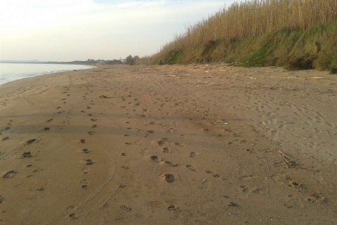 Land in Elis, Greece No. 28143 2