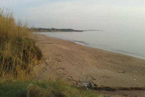 Land in Elis, Greece No. 28143 9