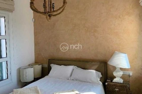 5 chambres Villa à Limassol, Cyprus No. 63513 12