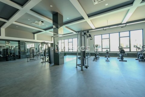 1 bedroom Apartment in Chau Lang, Vietnam No. 10921 15