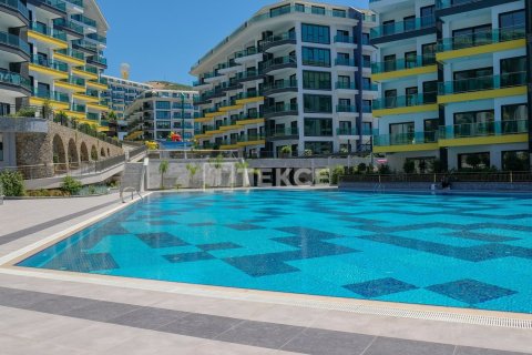 1 bedroom Apartment in Chau Lang, Vietnam No. 10921 11