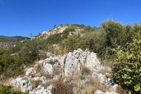 Land in Zakynthos, Greece No. 24716 4