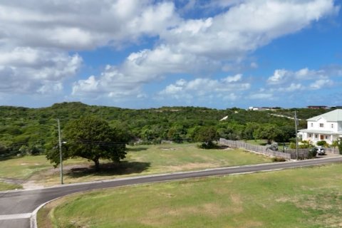 1012m² Land in Willikies, Antigua and Barbuda No. 64956 5