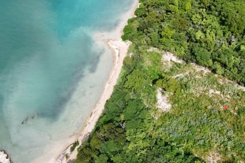 1012m² Land in Willikies, Antigua and Barbuda No. 64956 19