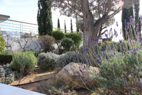 4 dormitorios Villa en Paphos, Cyprus No. 105533 5