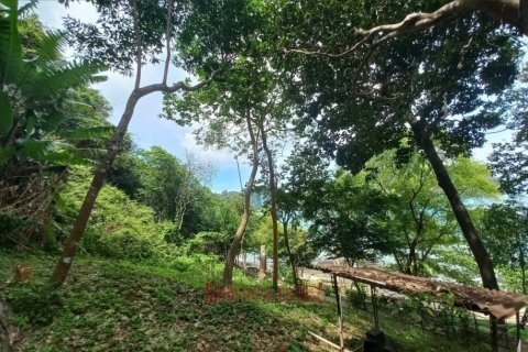 79696m² Land à Krabi, Thailand No. 97350 4