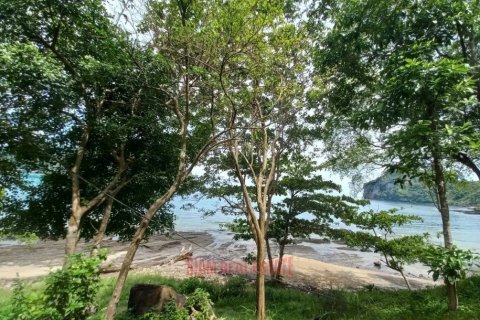 79696m² Land à Krabi, Thailand No. 97350 5