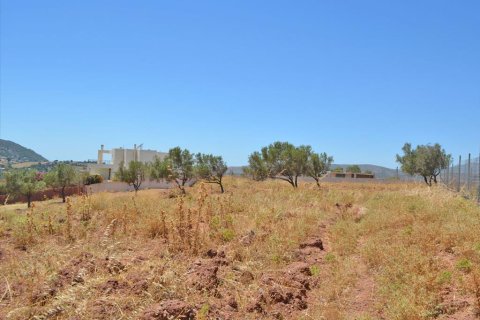 13500m² Land à Koropi, Greece No. 60184 3