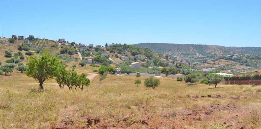 13500m² Land à Koropi, Greece No. 60184