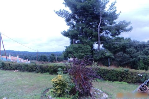 3 bedrooms Maisonette in Chalkidiki, Greece No. 60019 23