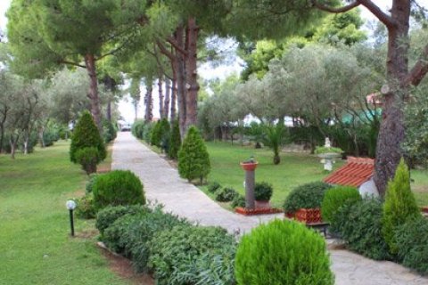 6 bedrooms Villa in Chalkidiki, Greece No. 60691 3