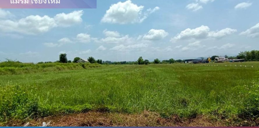 Land in Chiang Mai, Thailand No. 97858