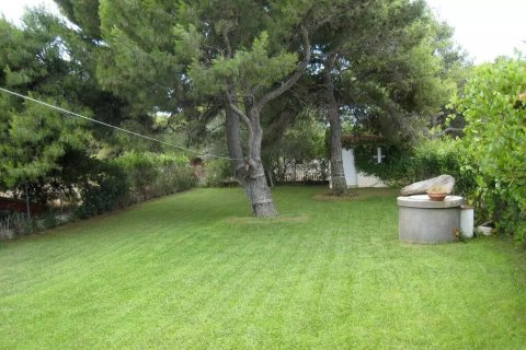 5 bedrooms House in Euboea, Greece No. 108514 10