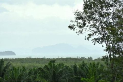 3 bedrooms Villa in Ko Lanta Yai, Thailand No. 96539 19