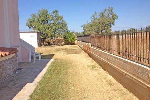 11 chambres House à Euboea, Greece No. 60261 13