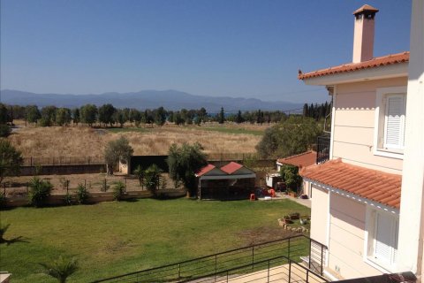 11 chambres House à Euboea, Greece No. 60261 19