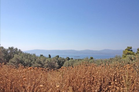 11 chambres House à Euboea, Greece No. 60261 10