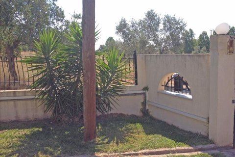 11 chambres House à Euboea, Greece No. 60261 12