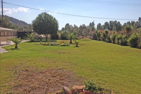 11 chambres House à Euboea, Greece No. 60261 16