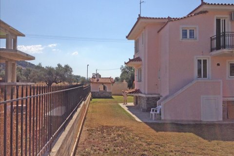 11 chambres House à Euboea, Greece No. 60261 3