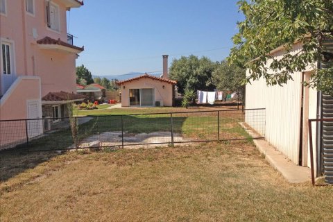 11 chambres House à Euboea, Greece No. 60261 6