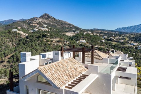 3 chambres Appartement à Benahavis, Spain No. 111915
