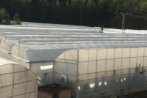 25000m² Land à Ngu Hanh Son, Vietnam No. 14604 3