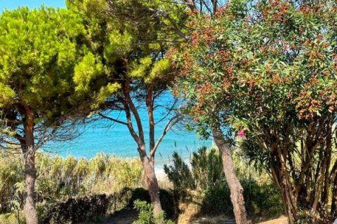 8 bedrooms Villa in Corfu, Greece No. 65135 2