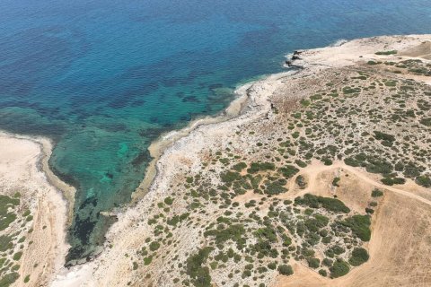 1 bedroom Penthouse in Bao Thuan, Vietnam No. 11130 10