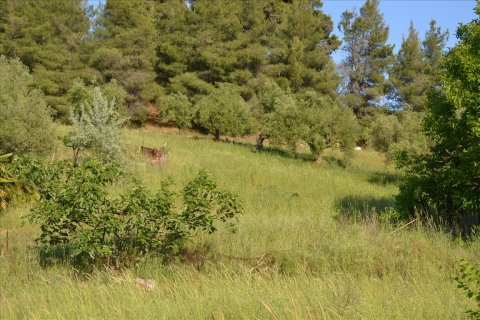 2300m² Land in Chalkidiki, Greece No. 123216