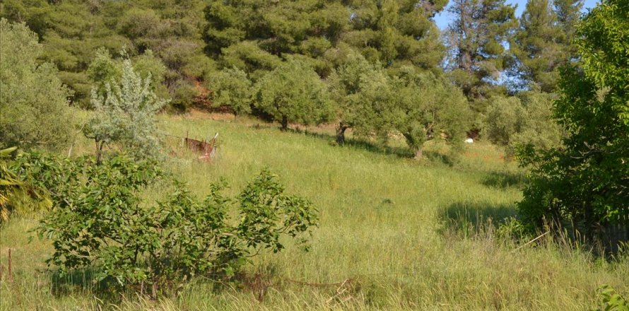2300m² Land in Chalkidiki, Greece No. 123216
