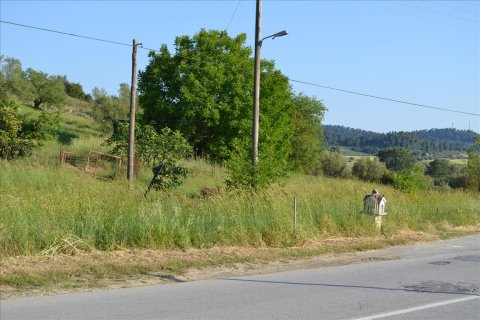 2300m² Land in Chalkidiki, Greece No. 123216 3
