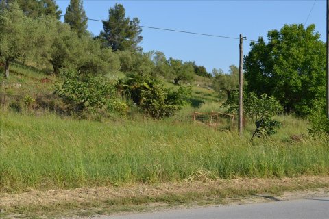 2300m² Land in Chalkidiki, Greece No. 123216 4
