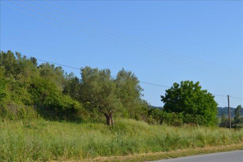 2300m² Land in Chalkidiki, Greece No. 123216 5