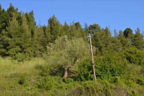 2300m² Land in Chalkidiki, Greece No. 123216 6