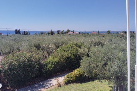 2 bedrooms Maisonette in Polygyros, Greece No. 107217 25