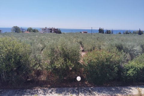 2 bedrooms Maisonette in Polygyros, Greece No. 107217 23