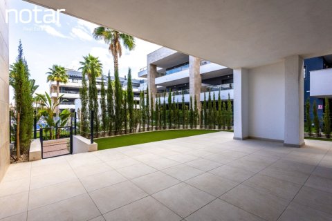 Studio Appartement à La Zenia, Spain No. 126877