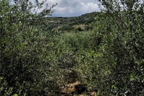 3 bedrooms House in Heraklion, Greece No. 107826 30