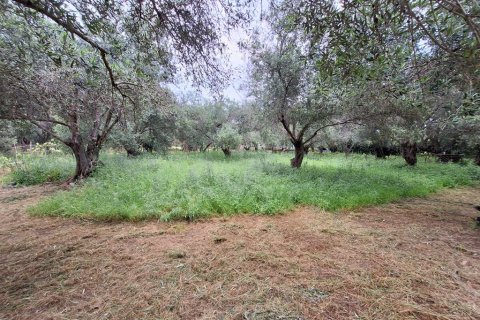 4444m² Land en Corfu, Greece No. 107996 18