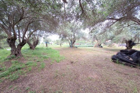 4444m² Land en Corfu, Greece No. 107996 17