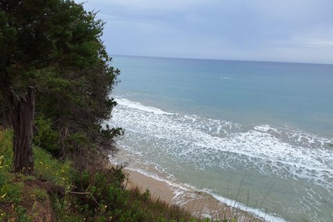 4444m² Land en Corfu, Greece No. 107996 10