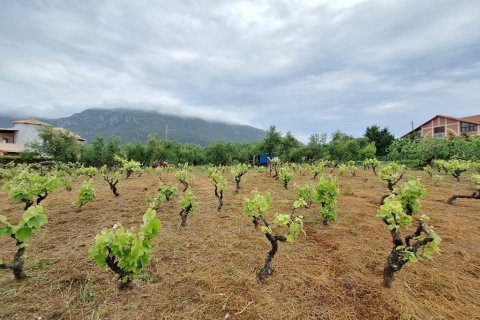 4444m² Land en Corfu, Greece No. 107996 11