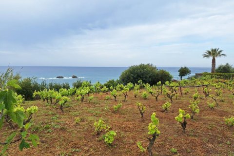 4444m² Land en Corfu, Greece No. 107996 3