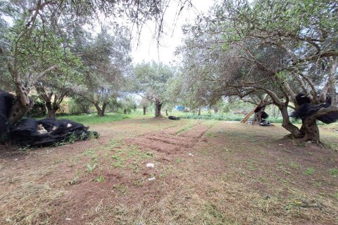 4444m² Land en Corfu, Greece No. 107996 20
