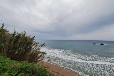 4444m² Land en Corfu, Greece No. 107996 14