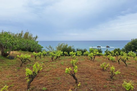 4444m² Land en Corfu, Greece No. 107996 5