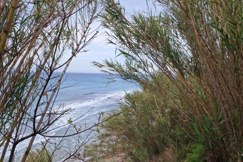 4444m² Land en Corfu, Greece No. 107996 21