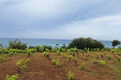 4444m² Land en Corfu, Greece No. 107996 8